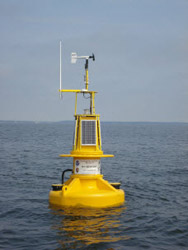 buoy floating in the ocean